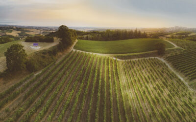 hotel rainero hotel rainero